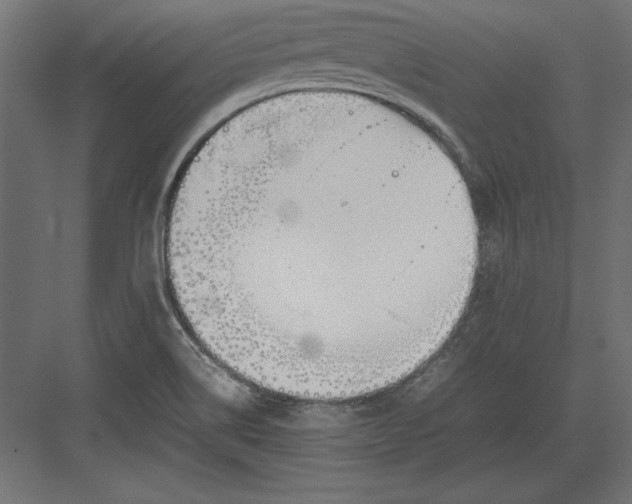 X0000082151514200702092138