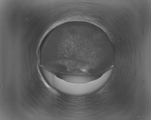 X0000082151515200702092138