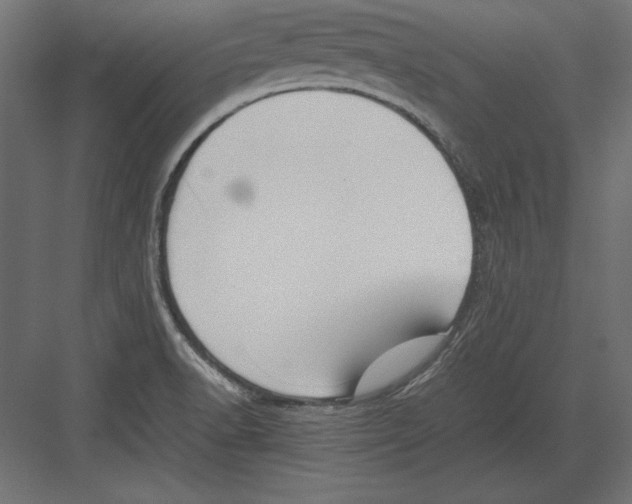 X0000082151518200702092138