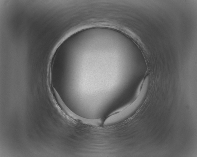 X0000082151520200702092138