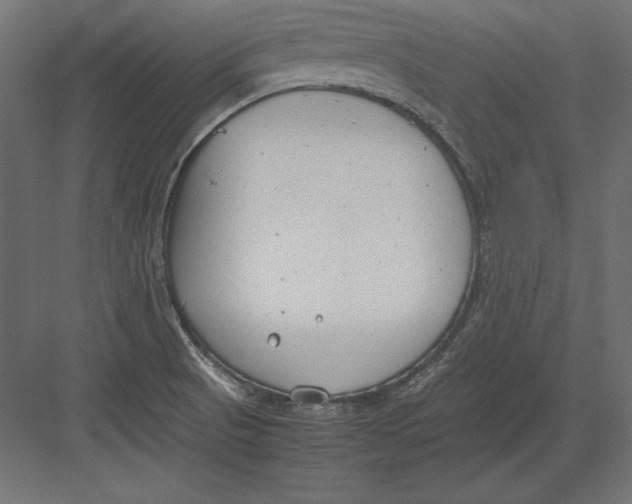 X0000082151521200702092138