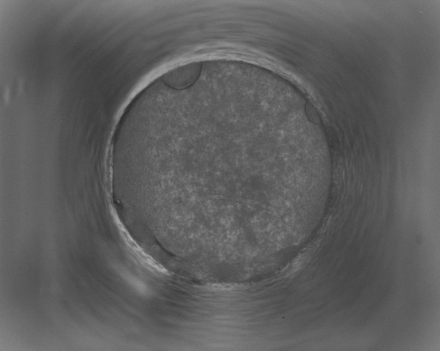 X0000082151522200702092138