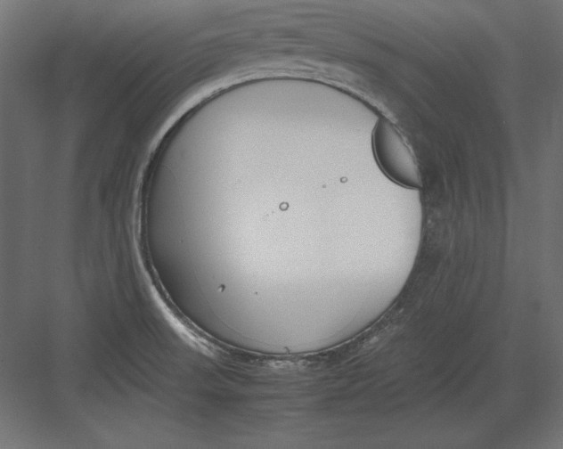 X0000082151523200702092138