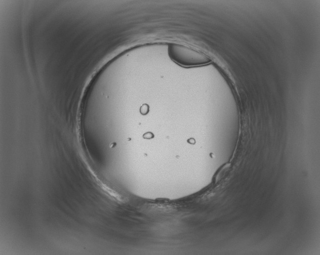 X0000082151525200702092138