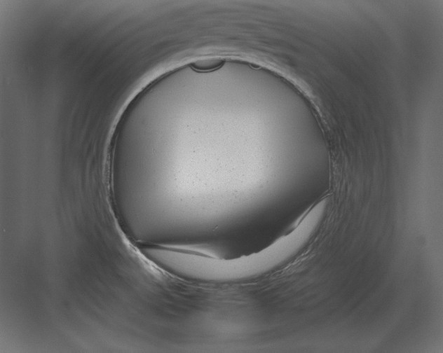 X0000082151527200702092138