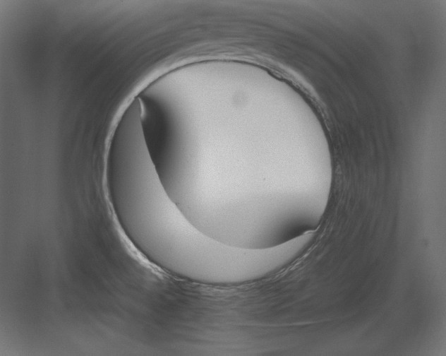 X0000082151528200702092138