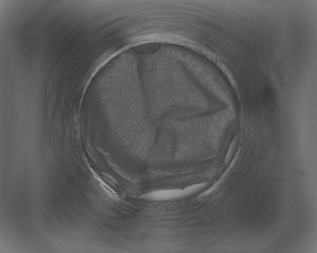 X0000082151529200702092138