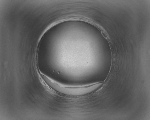 X0000082151530200702092138