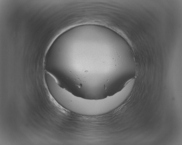 X0000082151532200702092138