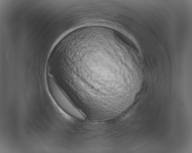 X0000082151533200702092138