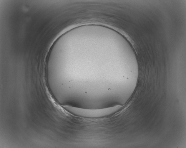 X0000082151534200702092138