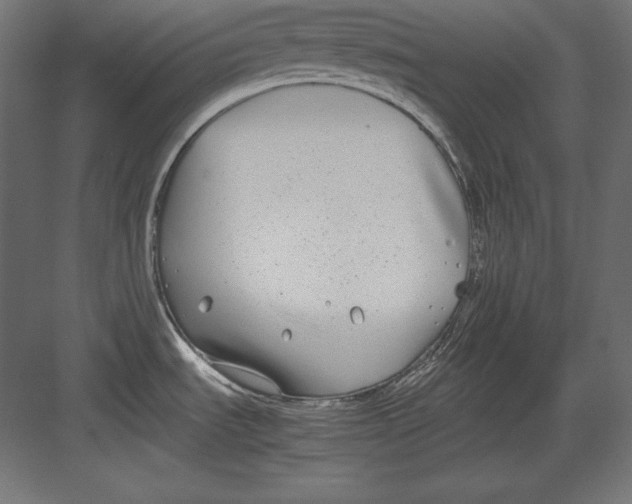 X0000082151535200702092138