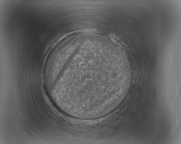 X0000082150002200702162220