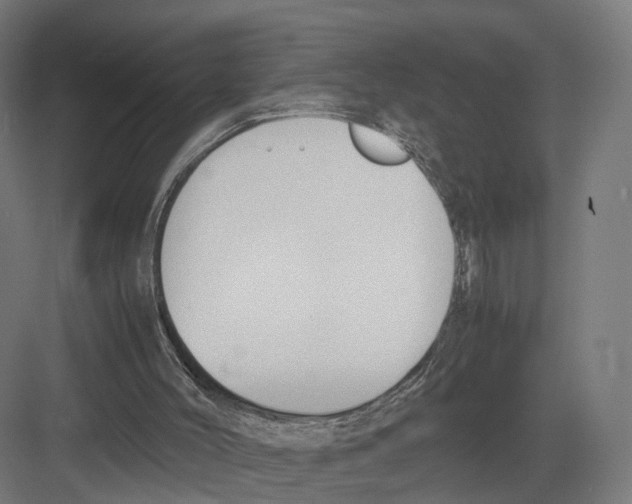 X0000082150004200702162220