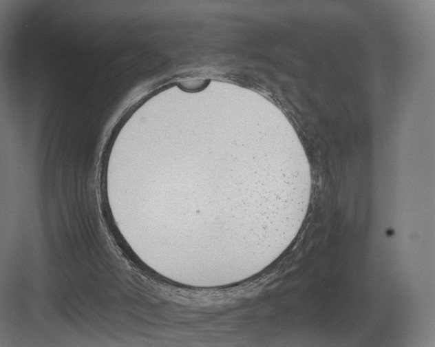 X0000082150006200702162220