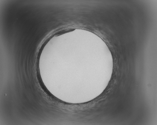 X0000082150007200702162220