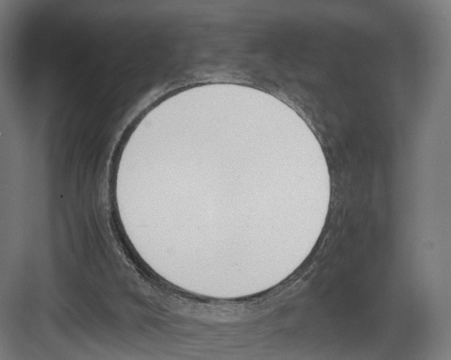 X0000082150008200702162220