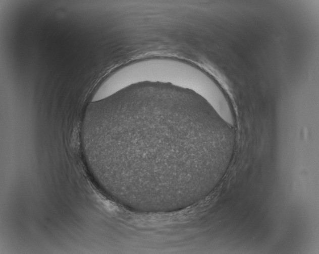 X0000082150009200702162220