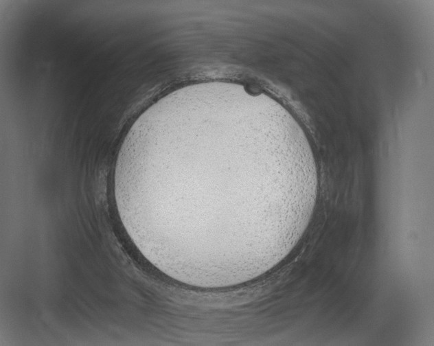 X0000082150010200702162220