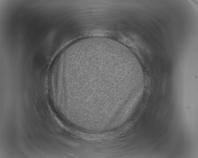 X0000082150012200702162220