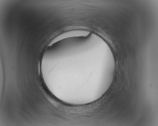 X0000082150013200702162220