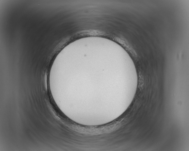 X0000082150014200702162220