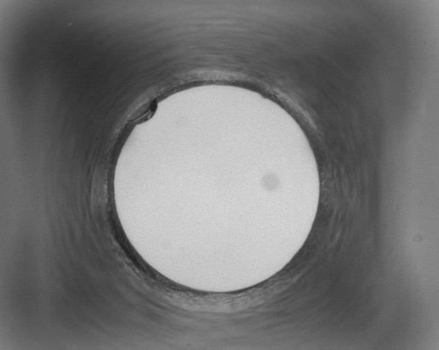 X0000082150015200702162220