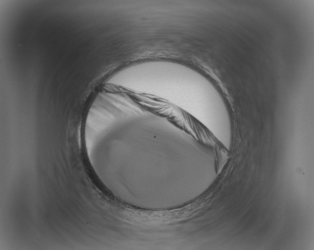 X0000082150019200702162220