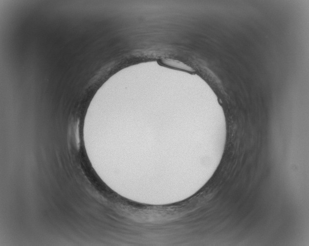 X0000082150020200702162220