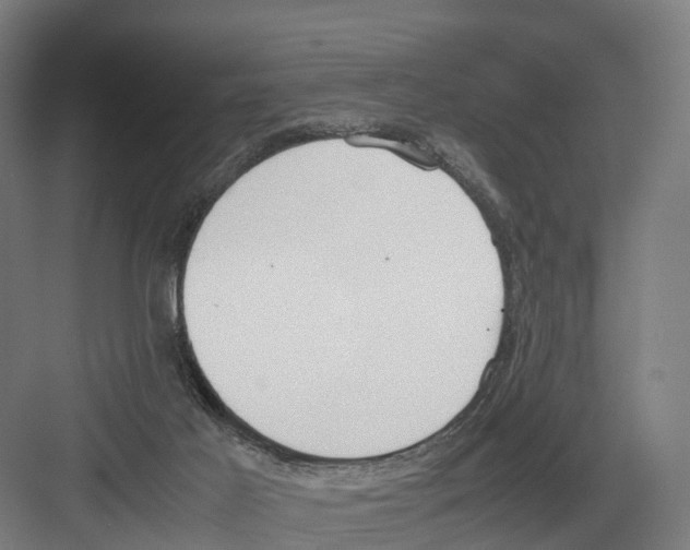 X0000082150021200702162220