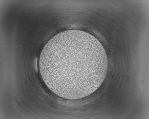 X0000082150022200702162220