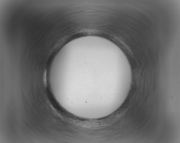 X0000082150024200702162220