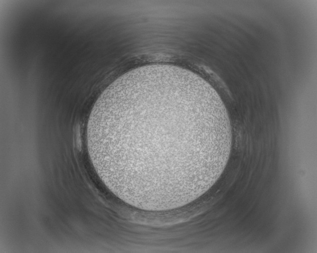 X0000082150026200702162220