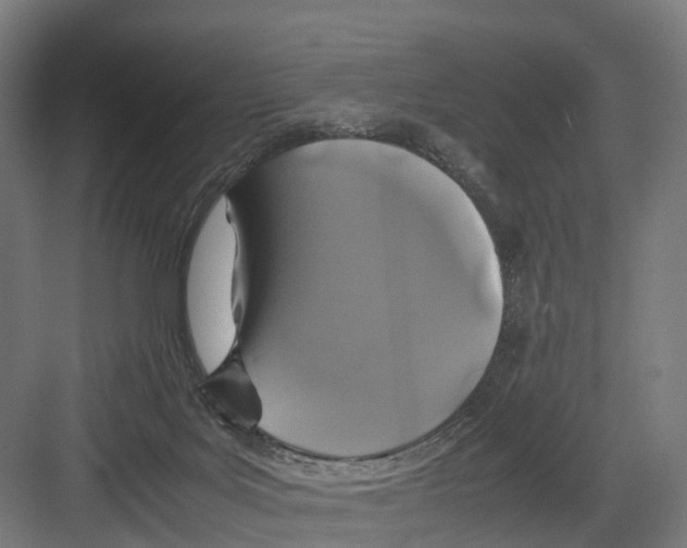 X0000082150027200702162220