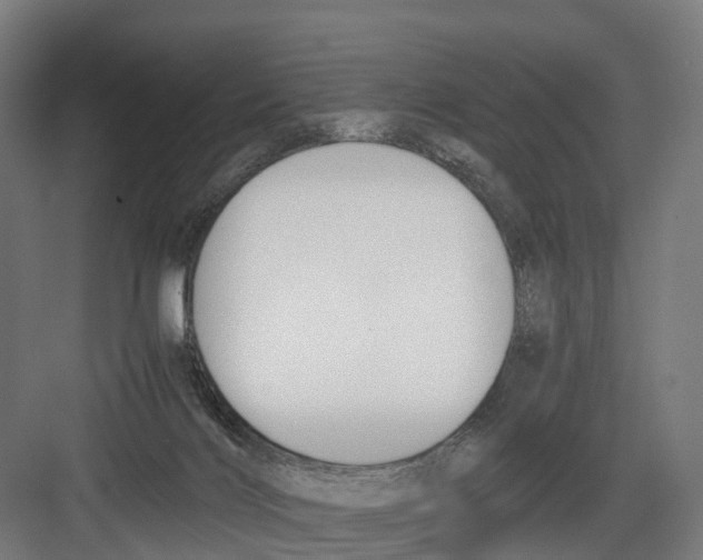 X0000082150028200702162220