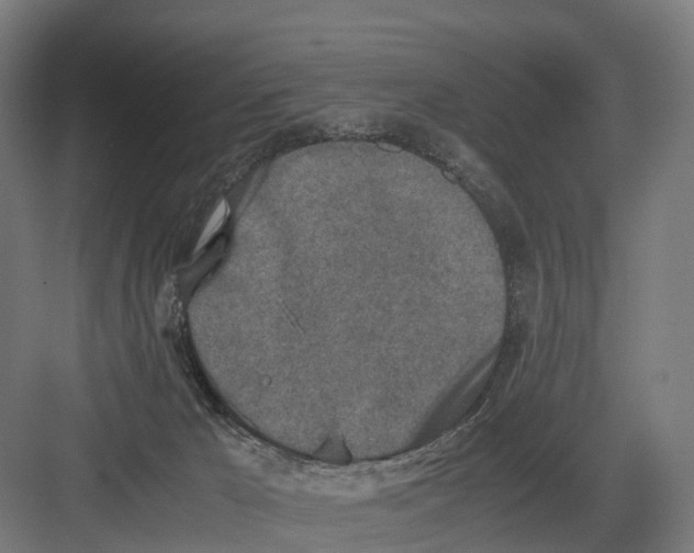 X0000082150029200702162220