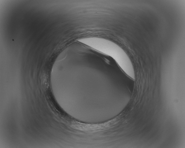 X0000082150031200702162220