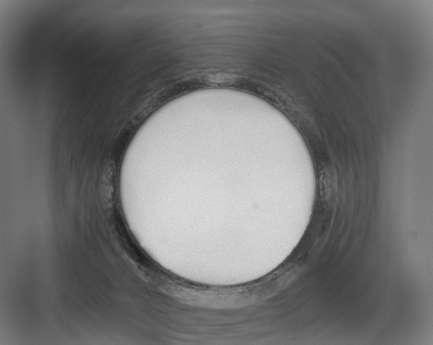 X0000082150032200702162220