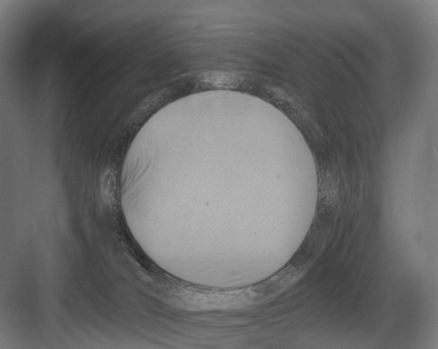 X0000082150036200702162220