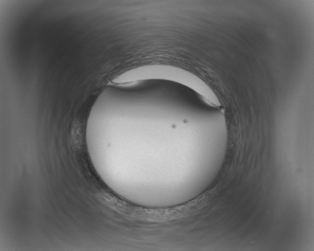 X0000082150037200702162220