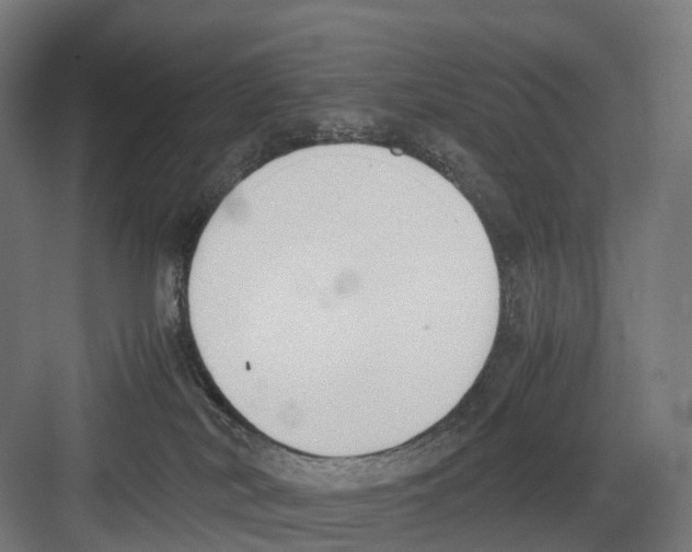 X0000082150038200702162220