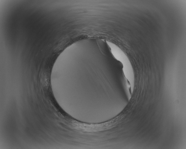 X0000082150039200702162220