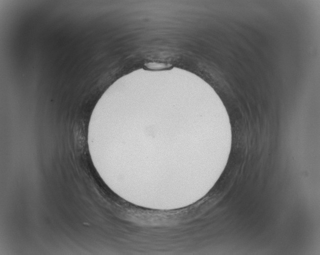 X0000082150040200702162220