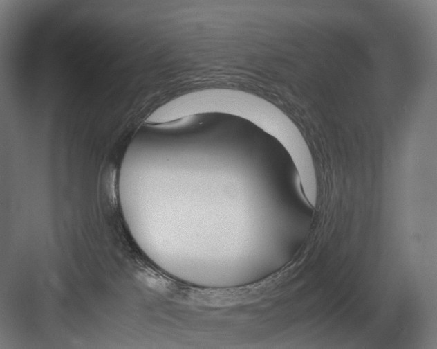 X0000082150041200702162220