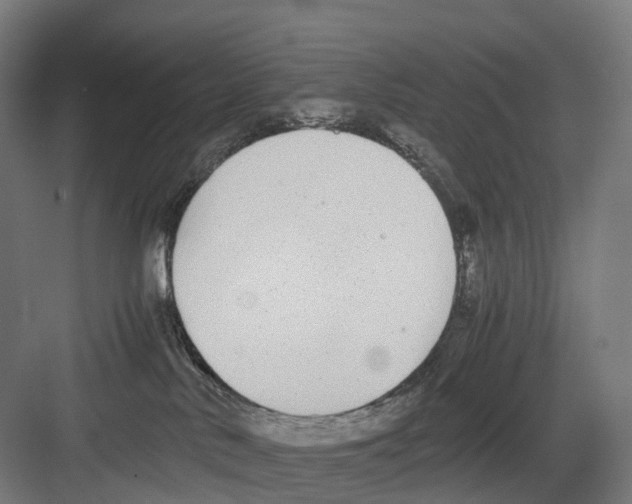 X0000082150042200702162220