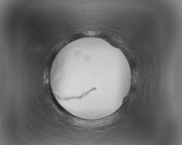 X0000082150043200702162220