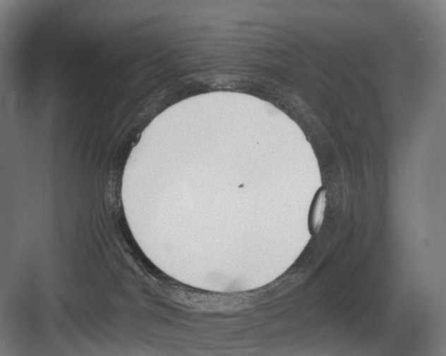 X0000082150044200702162220