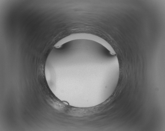 X0000082150045200702162220