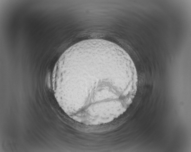 X0000082150046200702162220