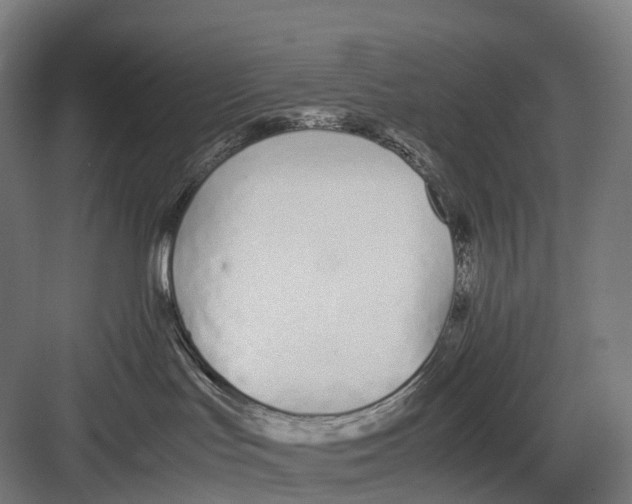 X0000082150047200702162220